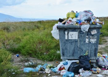 Our Throwaway Culture and How to Fight It