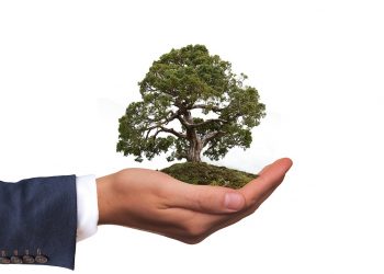 Why Going Green In Business Creates Loyalty