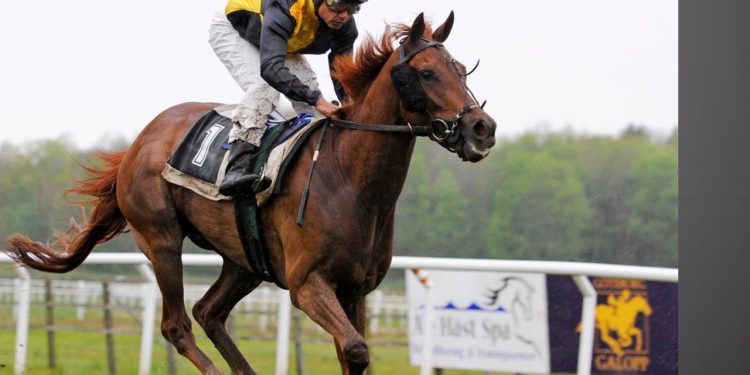 Race Favourites Ahead of the 2021 Paddy Power Irish Cambridgeshire