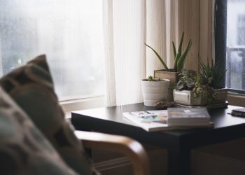 How Houseplants Can Boost Your Time At Home