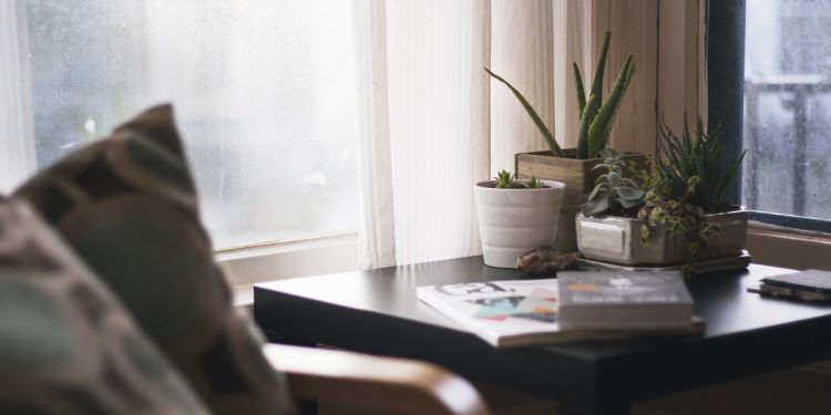 How Houseplants Can Boost Your Time At Home