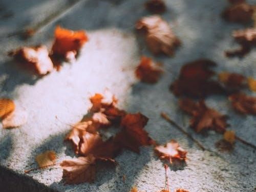 What to Look for in a Funeral Director