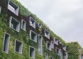 How to Benefit from Investing in an Eco-Friendly Property