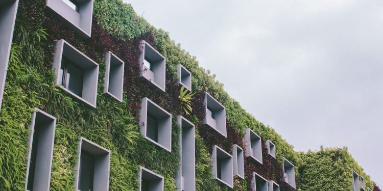 How to Benefit from Investing in an Eco-Friendly Property