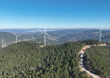 Enerjisa Üretim Enters Europe’s Wind Power Top 10 After Passing 1 GW
