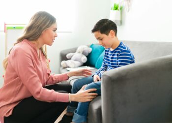 Child Support Service Systems