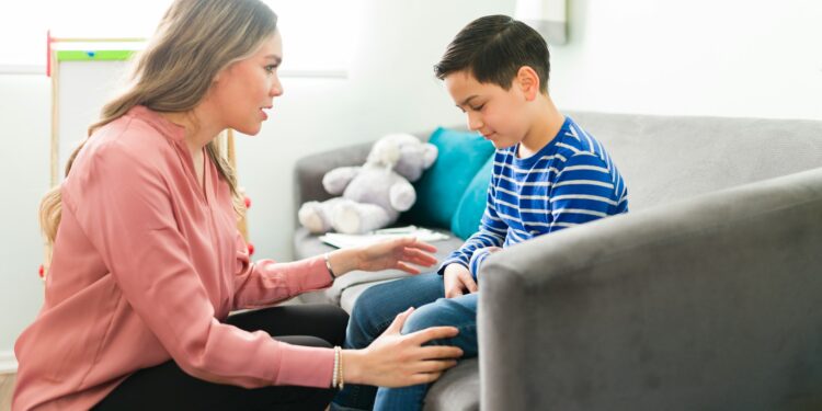 Child Support Service Systems