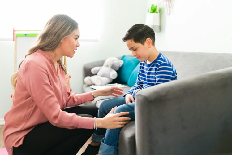 Child Support Service Systems