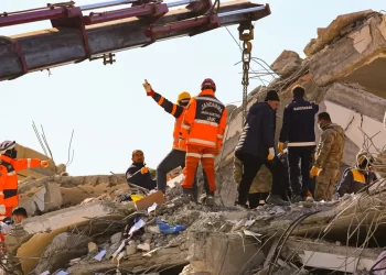 Gaza missing persons search