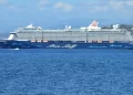 MS Ambition overboard search