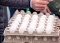 salmonella outbreak imported eggs