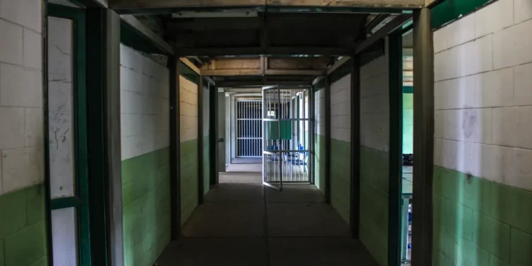 IPP sentence legislation pledge
