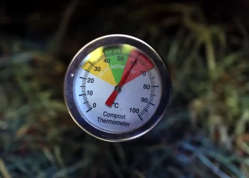 UK hottest summer record