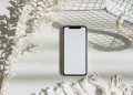 Erased iPhone
