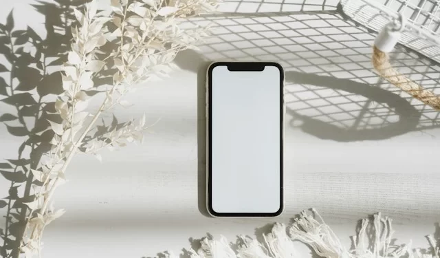 Erased iPhone