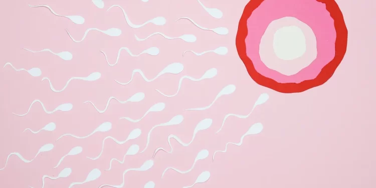 sperm donor withdraws consent